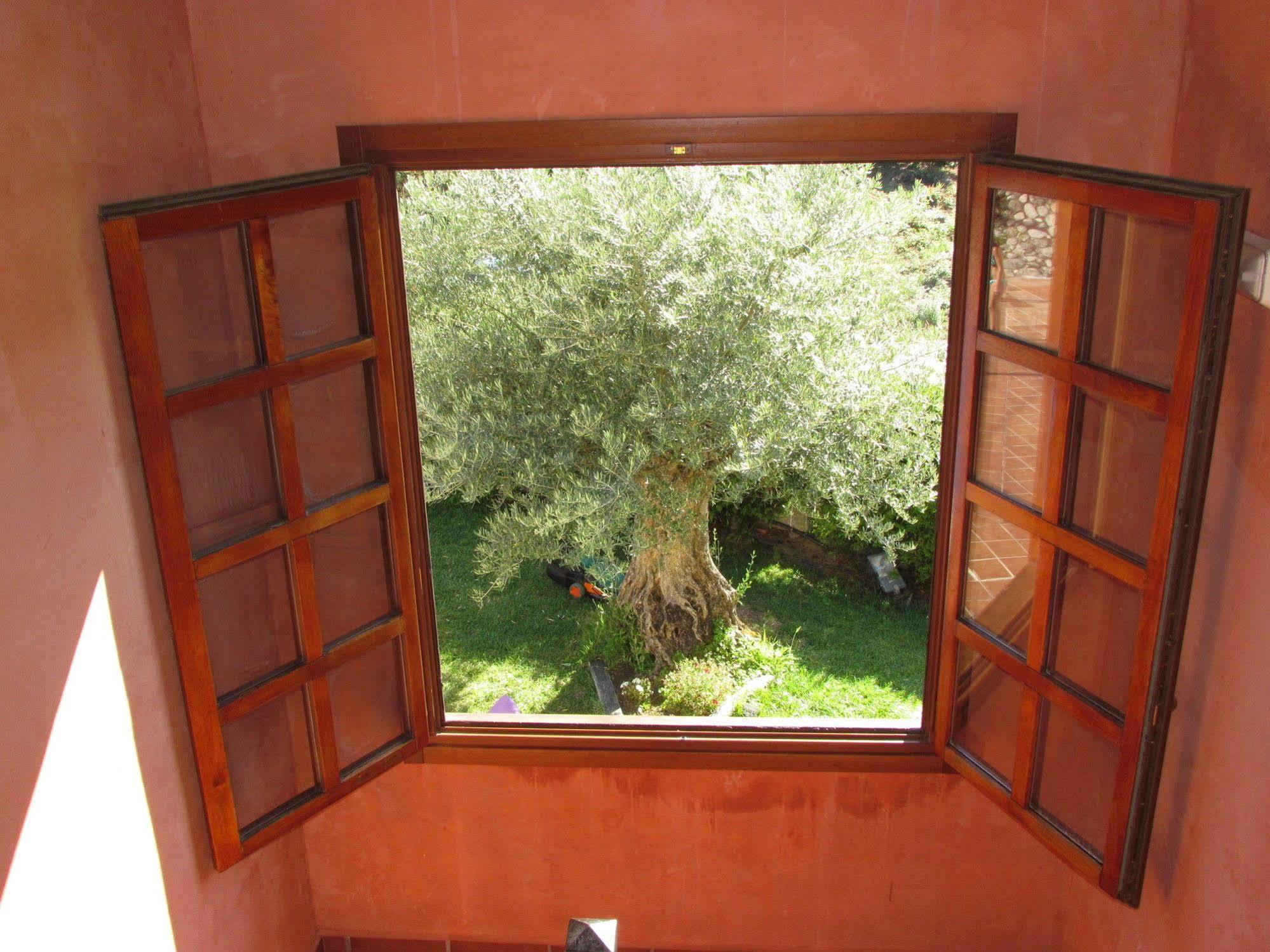 Apartamentos Via Nova Ourense Dış mekan fotoğraf